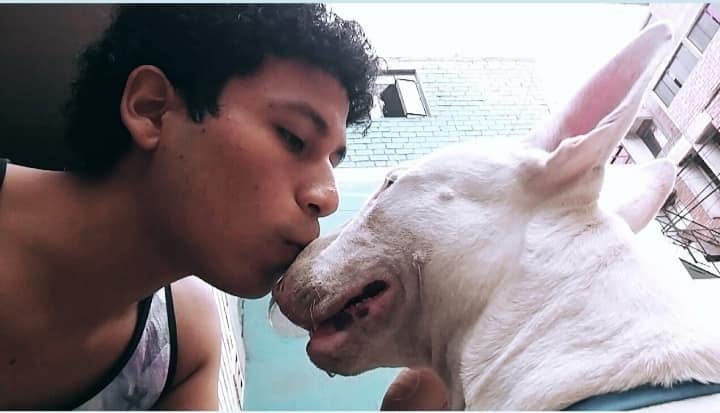 walter y su perrito